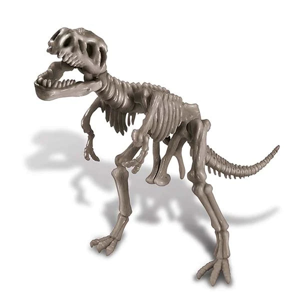 Dig a dinosaur (t-rex)
