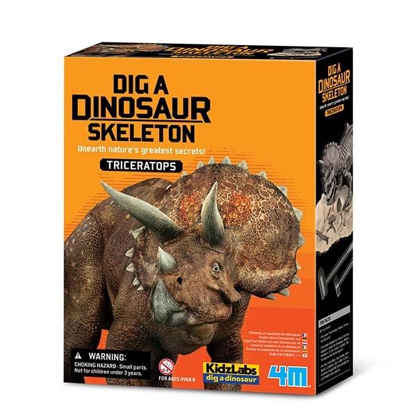 Dig a Dinosaur Skeleton